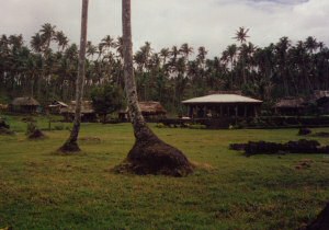 Typowa polinezyjska wioska