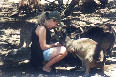 Matka karmiaca (Kangaroo Island)